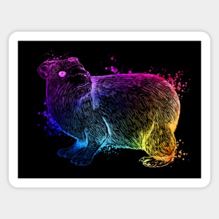 Colorful Hyrax Sticker